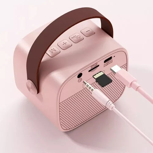 RADIO PARLANTE USB-SD-FM AS-202